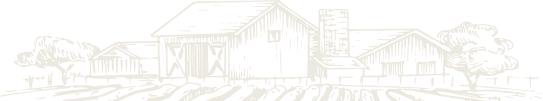about-one-shape-1