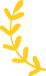 counter-one-shape-1