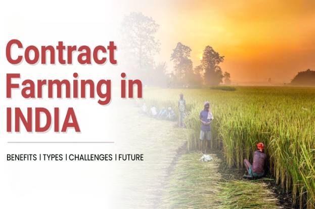 Contract Farming in India: Benefits, Types an...