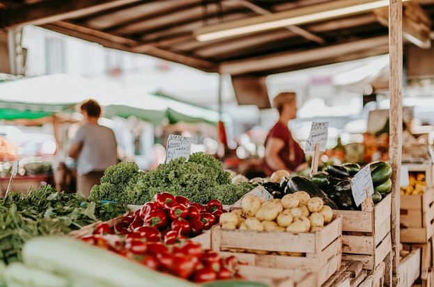 Understanding Market Trends: Insights for Agr...