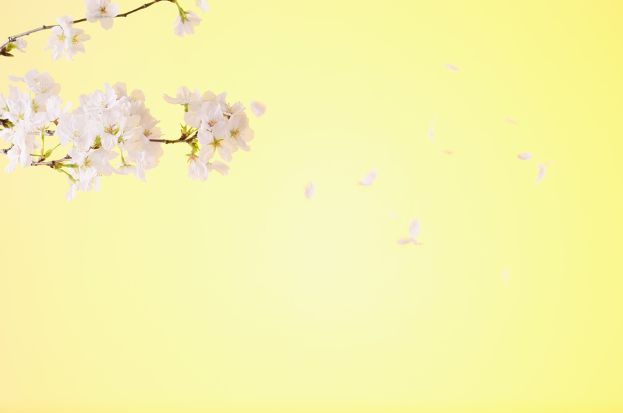 Flower Seeds in Kanpur: Blossoming Opportunit...