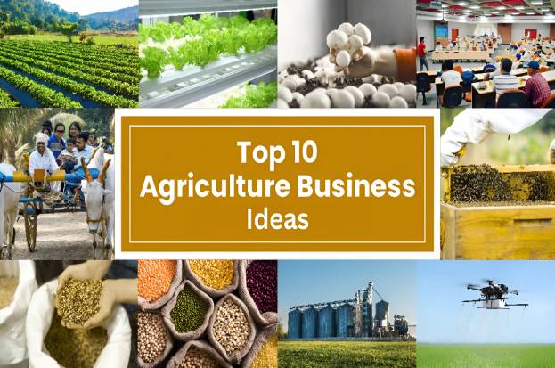 Top Farming Business Ideas in India 2024