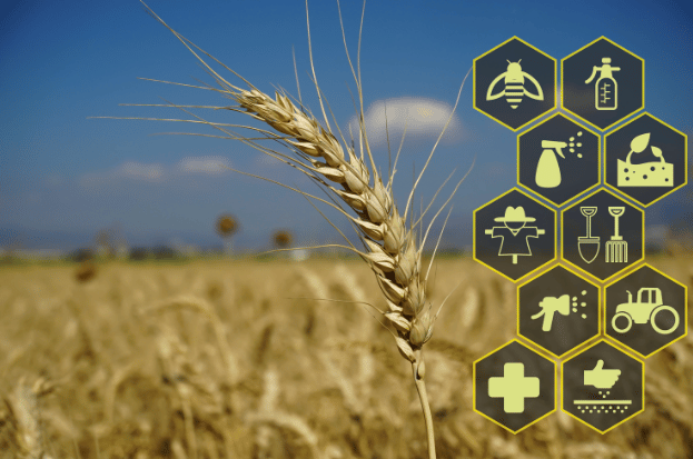 Progress of Agriculture in Uttar Pradesh: Lat...
