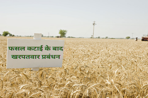 फसल कटाई के बाद खरपतवार प्रबंधन | Comprehensi...