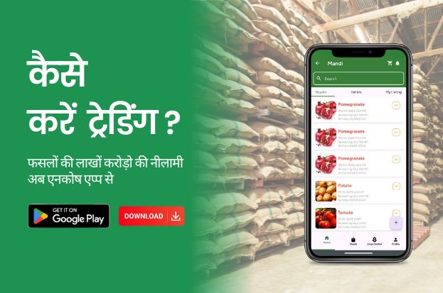 Mandi Bhav on the App | Agri Commodity Tradin...